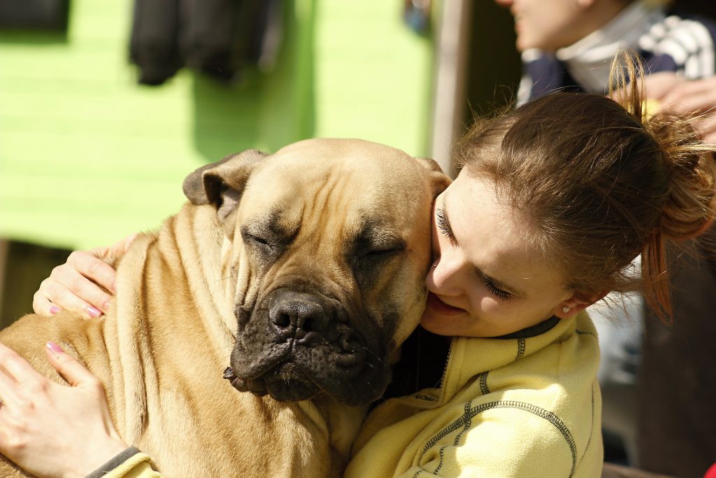passion-chien